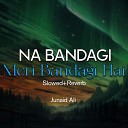Junaid Ali - Na Bandagi Meri Bandagi Hai Lofi