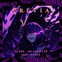 DJ RBK MC Luana SP - Pr via Super Slowed