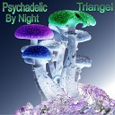 Triangel - Psychedelic by Night Club Edit
