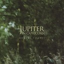 Jupiter in Capricorn - Undergrowth