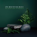 Chakra Cleansing Music Sanctuary - Relax Your Mind Island Spa