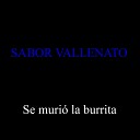 Sabor vallenato - Se Muri la Burrita