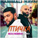 HammAli Navai - Птичка Nexa Nembus Remix