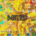 MSTRD - What Do You Mean