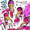 Flamingo Cartel feat Ommieh - What You Want DJ Twister Remix
