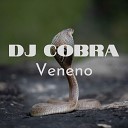 DJ Cobra - Veneno