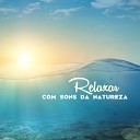 Sons da Natureza Relaxamento - Serenidade e Harmonia