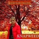 Knapweed - Золотая осень