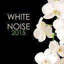White Noise Masters - Enjoy the Silence