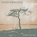 Venus Principle - All These Words