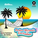 Pedro Miranda y sus Teclados - Recordando un Amor