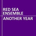 Red Sea Ensemble - Disappointed but Not Surprised