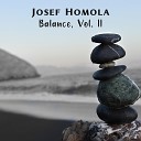 Josef Homola - Winding Down