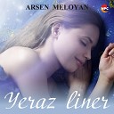 Arsen Meloyan - Yeraz Liner