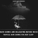 Sleep Rain Memories - Rain Sound From The Forest