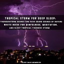 Sleep Rain Memories - Thunderstorms and Grey Skies