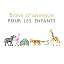 Ensemble de Musique Zen Relaxante - Yoga pour enfants au sommeil tranquille