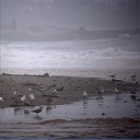 A Stormy Day at the Beach Calming Waves Rainy Nights Day at the Beach A Stormy Day Good Night… - The Rain Falls the Winds Blow The Water Rolls as the Old Metal Fixture…