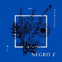 Negro Z - Fim da Primavera