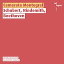 Camerata Montegral Gustav Kuhn - Scherzo Allegro Molto Trio String Quartet No 14 in D Minor Quot Death and the Maiden Quot D…