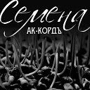 Ак кордъ - Семена