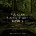 Spa Brainwave Entrainment Baby Relax Music Collection Yoga… - Whispering Spring