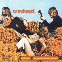 Cravinkel - Mr Cooley single B side 1971