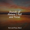 Sounds of Nature White Noise Sound Effects Binaural Beats Brain Waves Isochronic Tones Brainwave Entrainment Medita o… - Cloud Surfing