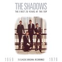 The Shadows - Genie with the Light Brown Lamp