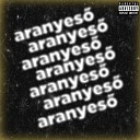 Bandito - Aranyes