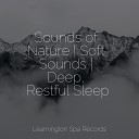 Raindrops Sleep Medita o Maestro Relaxamento - Serenity Ocean