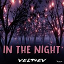 VEL94EV - In the Night