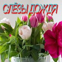 Сергей Грищук - Слезы дождя