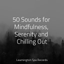 Rain Forest FX Chakra Balancing Sound Therapy Lush Rain… - Calmness