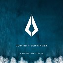 Dominik Gehringer - Sometimes Extended Mix