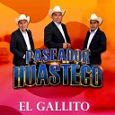 PASEADOR HUASTECO - El Gallito
