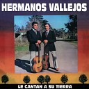 Hermanos Vallejos - Soy un Paria Errante