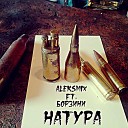 AleksMix feat Борзини - Натура