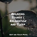 Healing Sounds for Deep Sleep and Relaxation Shakuhachi Sakano Relaxing Sleep… - Stardust Wonders