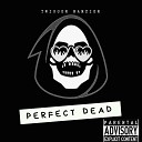 Twigger Ramzier - Perfect dead