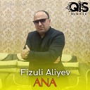 Fizuli Aliyev - Ana