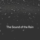 Forest Rain FX - Cloudburst of Grace