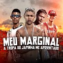 A Tropa Do Japinha mc aposentado - Meu Marginal