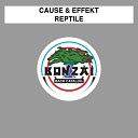Cause Effekt - Reptile Ignacio Demaria Steve Prior Remix