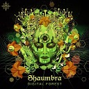 Shaumbra - Do Not Overload Original Mix