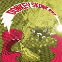 DONKEY SKONK - Come Again