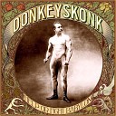 DONKEY SKONK - Negative Guy