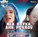 MIA BOYKA, Аня Pokrov - Снежинка (DJ Terre & Nervouss Radio Edit)