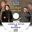 Elvis din Barbulesti feat Amira - Vorbe Amare