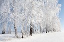 Виталий Глухов - Зима